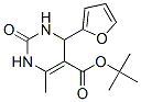 446252-22-8 structure