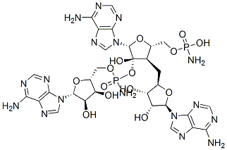 81010-22-2 structure